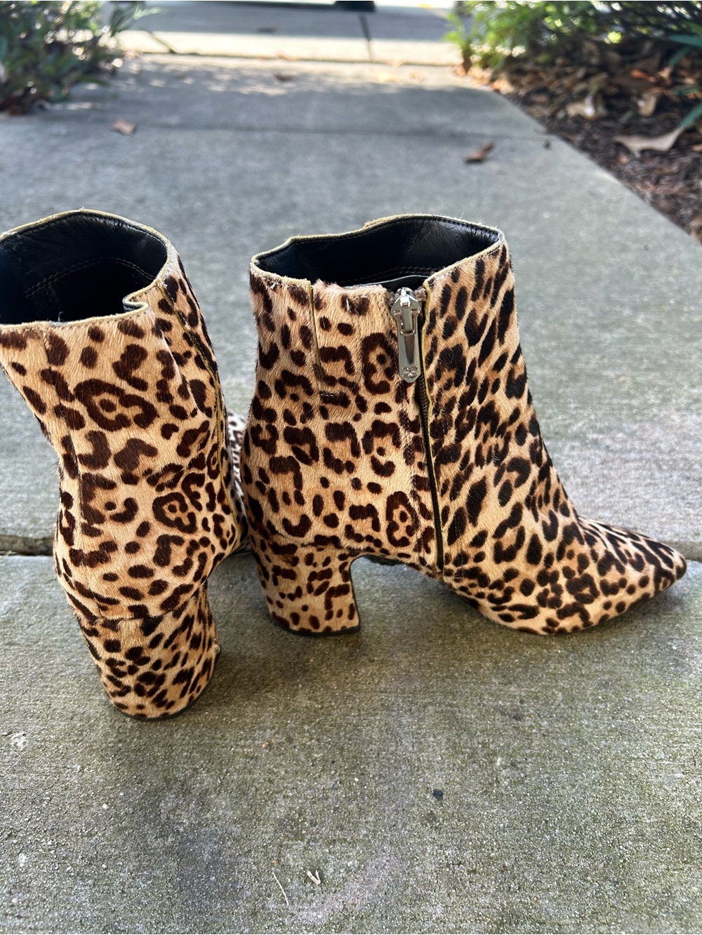 Sam Edelman Leopard Print Pointed Toe Ankle Boots - Picture 4 of 6